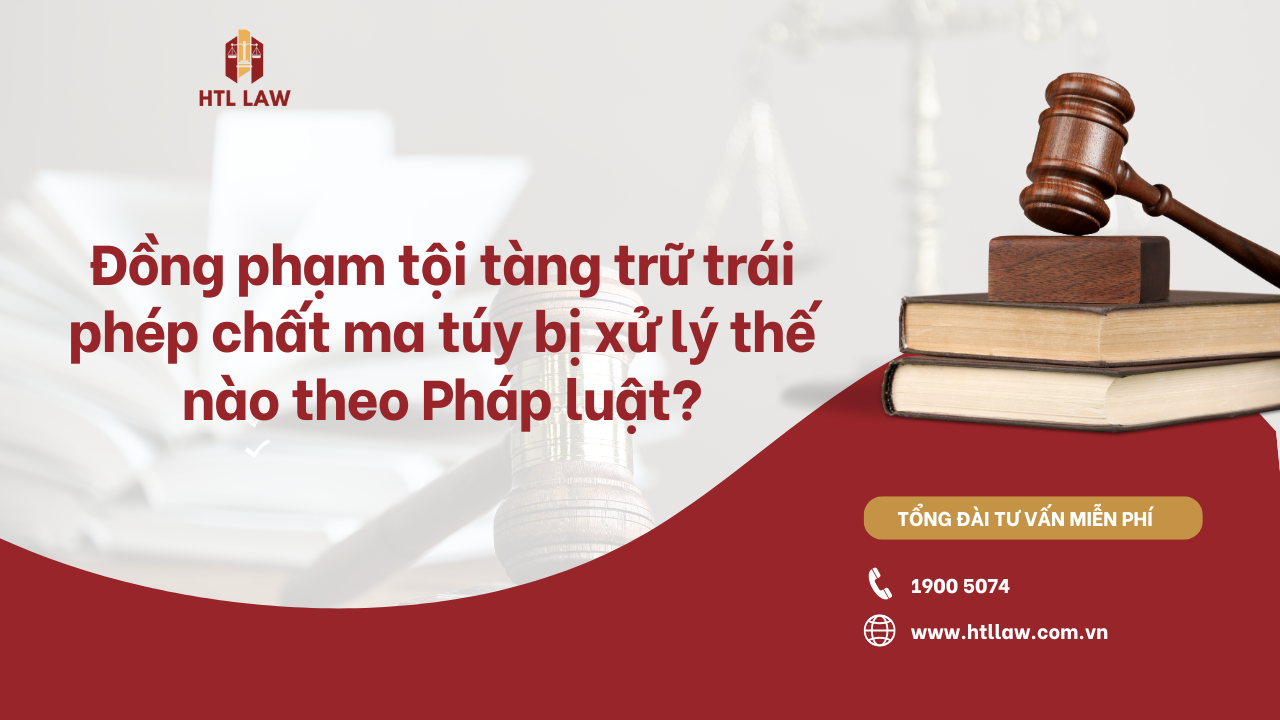 đồng phạm tàng trữ trái phép chất ma túy