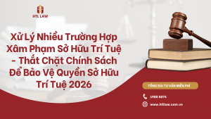 Xử Lý Nhiều Trường Hợp Xâm Phạm Sở Hữu Trí Tuệ - Thắt Chặt Chính Sách Để Bảo Vệ Quyền Sở Hữu Trí Tuệ 2026